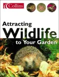 Attracting Wildlife To Your Garden