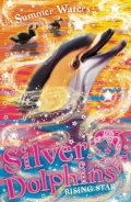 Rising Star (Silver Dolphins, Book 7)