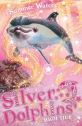 High Tide (Silver Dolphins, Book 9)