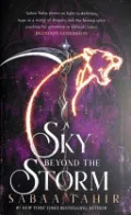 A Sky Beyond the Storm