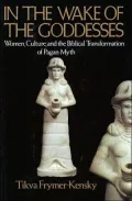 In the Wake of the Goddesses : Women, Culture and the Biblical Transformation of Pagan Myth