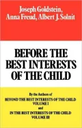 Before the Best Interests of the Child, Vol. 2