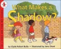 What Makes a Shadow?