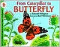 From Caterpillar to Butterfly