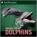 Dolphins