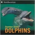 Dolphins