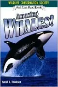 Amazing Whales!