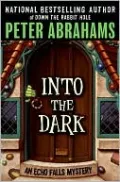Into the Dark (Echo Falls Series #3)