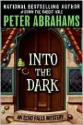 Into the Dark (Echo Falls Series #3)