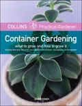 Container Gardening: What to Grow and How to Grow It