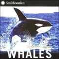 Whales