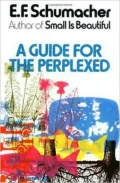 Guide for the Perplexed