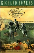 Operation Wandering Soul