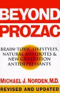 Beyond Prozac : Antidotes for Modern Times