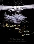 Between the Wingtips: The Secret Life of Birds
