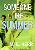 Someone Like Summer