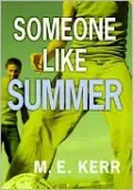 Someone Like Summer