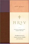 NRSV Standard Catholic Edition Bible, Anglicized (Tan/Red)