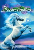 Snowfire (Phantom Stallion: Wild Horse Island Series #9)