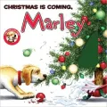 Christmas Is Coming, Marley (Marley Series)