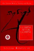 Glimpse after Glimpse: Daily Reflections on Living and Dying