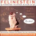 Felinestein