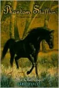 The Challenger (Phantom Stallion Series #6)