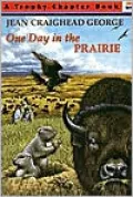 One Day in the Prairie