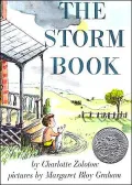 Storm Book