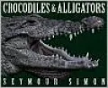Crocodiles and Alligators
