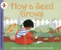 How a Seed Grows