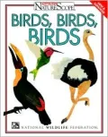 Birds, Birds, Birds!