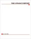 The E-Finance Report