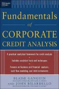 Standard & Poor's Fundamentals of Corporate Credit Analysis