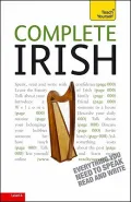 Teach Yourself Complete Irish: Level 4