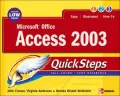 Microsoft Office Access 2003 QuickSteps
