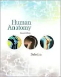 Human Anatomy