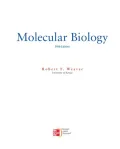 Book cover of Molecular Biology - 5th Edition