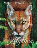 Beginning and Intermediate Algebra