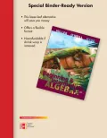 Beginning & Intermediate Algebra