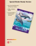 Beginning Algebra
