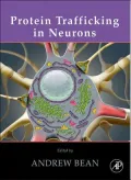 Protein Trafficking in Neurons