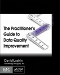 Practitioner’s Guide to Data Quality Improvement