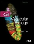 Molecular Biology