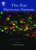 The Rat Nervous System