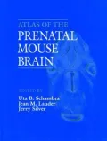 Atlas of the Prenatal Mouse Brain