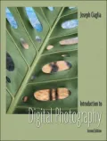 Introduction to Digital Photography
