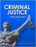 Criminal Justice: A Brief Introduction
