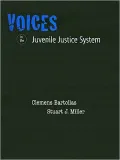 Voices in the Juvenile Justice System