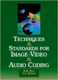 Techniques and Standards for Image, Video, and Audio Coding